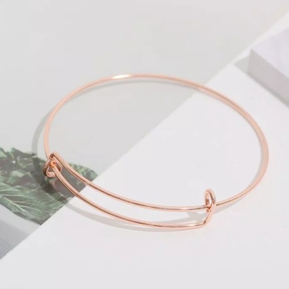 Stainless Steel Chatm Bangle 3 Colors Available - Picture 2 of 7